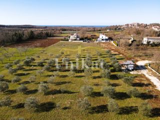 Zemljište - Prodaja - ISTARSKA - POREČ - POREČ